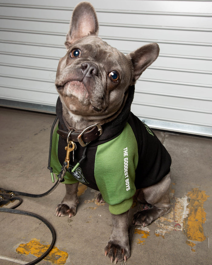 Goodest Boys Dog Hoodie - Black & Green - Dixxon Flannel Co.