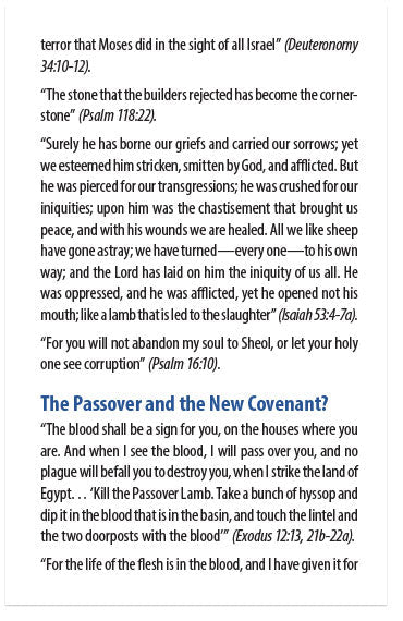 Happy Holy Days