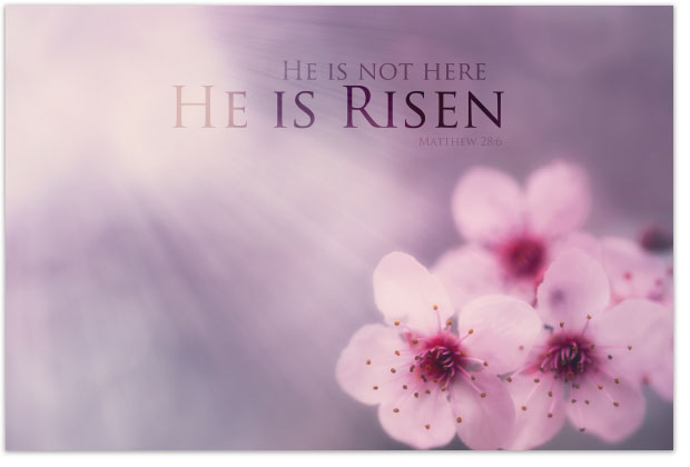 He Is Not Here (Postcard, NKJV)