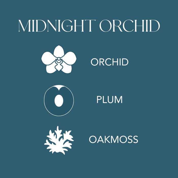 Midnight Orchid Infographic