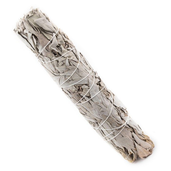 Wholesale White Sage Smudge (7-8 Inches)